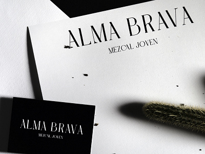 Alma Brava | Mezcal Branding