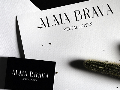 Alma Brava | Mezcal Branding branding design illustration logo minimal packaging typography