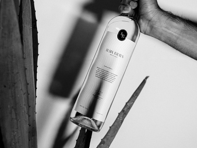 Alma Brava | Mezcal Branding