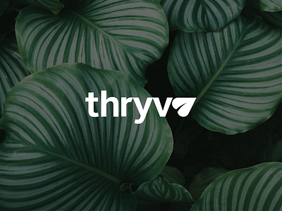 thryve branding illustration logo