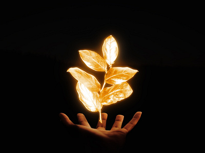 Glowing Leaves graphic design guidance illuminate photomanipulation photoshop