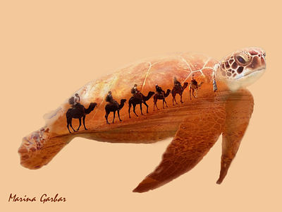 Desert turtle double exposure graphic design