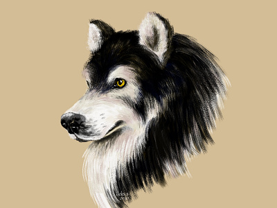 Wolfdog digital art digital illustration dog dog portrait illustration krita pet portrait realistic