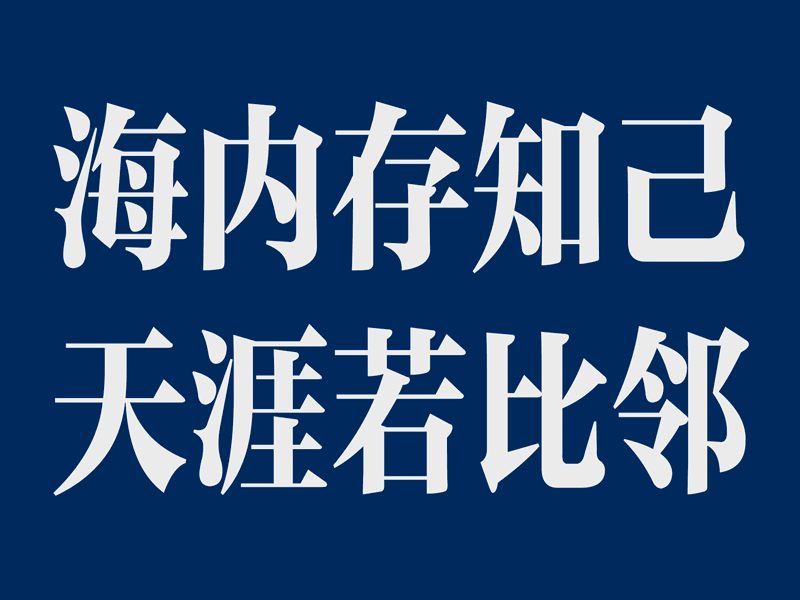 海内存知己 design typography