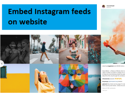 Embed instagram gallery feeds