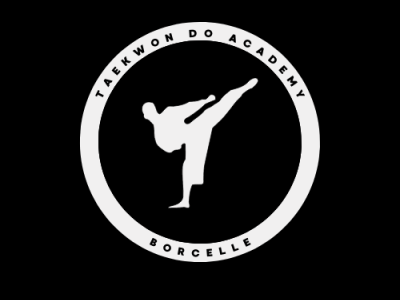 Taekwondo Academy animation attractivelogo bestlogo branding design graphic design illustration logo vector