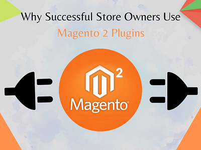 Why Successful Store Owners Use Magento 2 Plugins