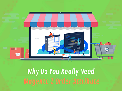 Why Do You Really Need Magento 2 Order Attribute?