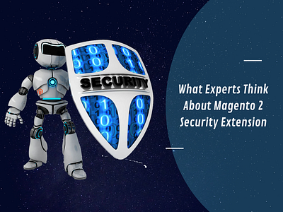 What Experts Think About Magento 2 Security Extension