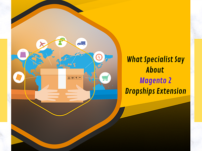 What Specialist Say About Magento 2 Dropships Extension