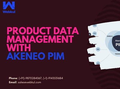 Product Data Management With Akeneo PIM akeneo akeneo development company akeneo module akeneo pim development