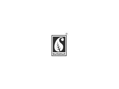 Butanut branding logo ui vector