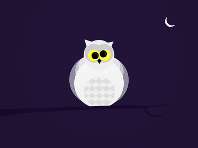 Always Up Late owl