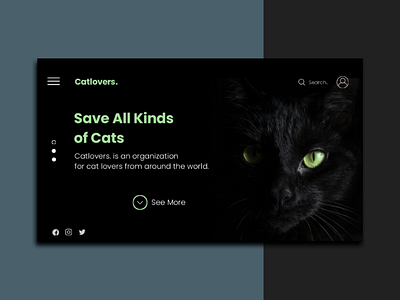 Landing Page landingpage black cat