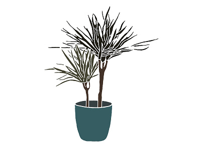 YUKA PLANT animation app art design graphic design icon illustration illustrator logo minimal nature new plant yuka