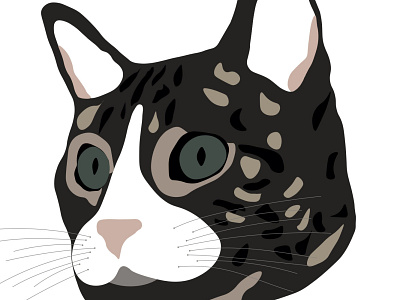 CHAT O animal animals animation app art cat cats design graphic design icon illustration illustrator logo miaou minimal