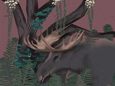 Moose in a fairy forest animal illustration animals digital illustration elk fairy fern forest graphic art illustration moose nature art nature illustration woods