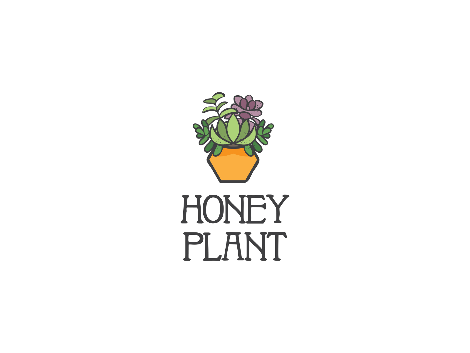 Honey plant by Gabriella Gal on Dribbble