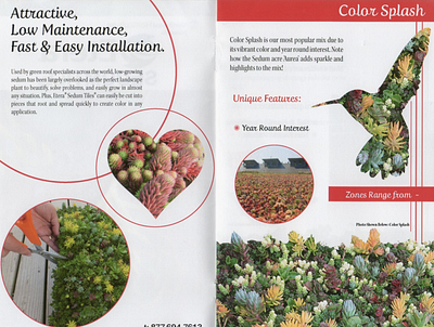 Horticulture Brochure brochure design graphic design