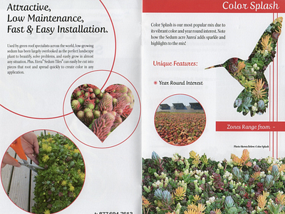 Horticulture Brochure