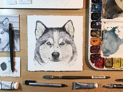 Dog Portrait dog dog portrait husky illustration watercolor