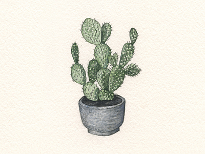 Prickly Pear Cactus cactus illustration prickly pear cactus texas watercolor