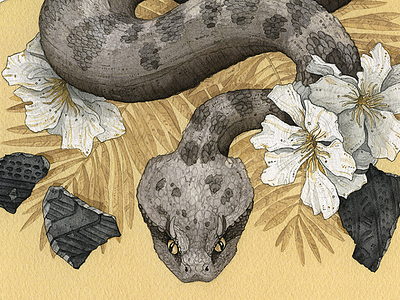 Ruin botanical illustration oleander snake watercolor