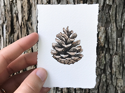 Pinecone