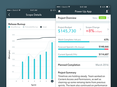 Project Tracking App agile charts dashboard ios reports