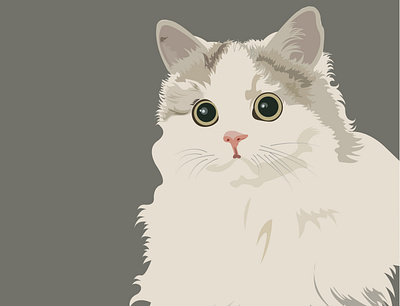 A cat. animation design graphic design illustration vector vector art