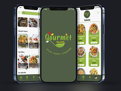 Gourmet Salads app design food ui