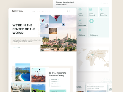 Web Design Concept for Turkey: Discover the Potential agency clean design enterprise minimal ui ux
