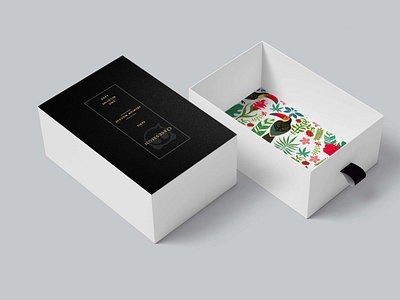 Premium PSD Download Shoe Box Opened Mockup