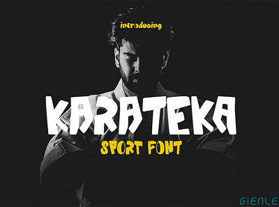 Karateka - Sport Font action artwork branding design envato exercise fight font health karate kungfu movie practice stance style training