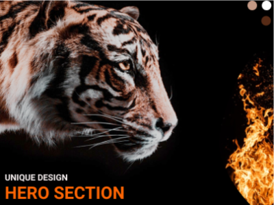 Hero Section - Focused Tiger!