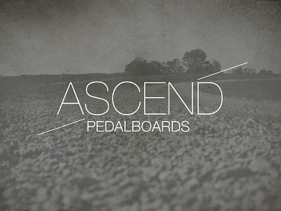 Ascend Pedalboards branding clean debut logo simple