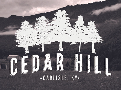 Cedar Hill Homestead Logo Design cedar farm homestead logo modern vintage trees vintage weathered