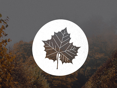 Drama of Seasons adventure autumn explore logo mark novelmarks trees vintage wanderlust wilderness woods work