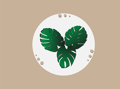 Monstera flowerpot monstera plant