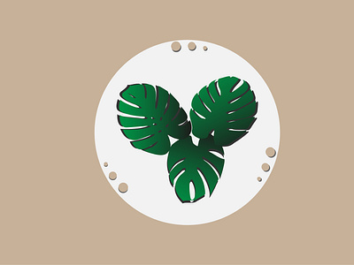 Monstera