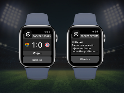 Soccer Apple Watch Widget