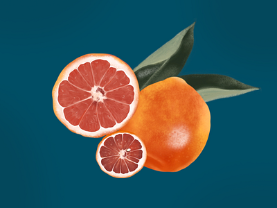 Fresh tangerine 🍊 💦 animation art artist artwork design fruite illustration minimal procreate