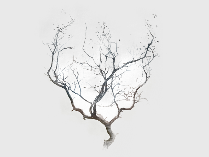 Omerata - Catharsis music design illustration art direction