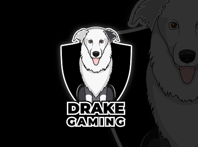 DRAKE GAMING art branding flat graphic design logo vector