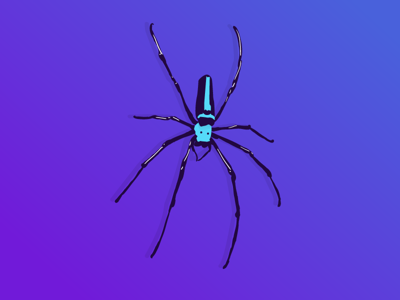 Spider by Almeida Tercero on Dribbble