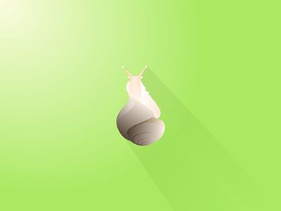 Snail design graphic green illustration snail vector