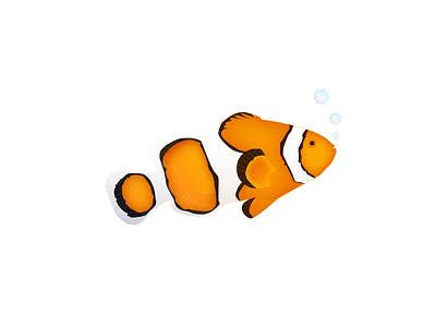 Clownfish design fish graphic illustration minimalist vector white