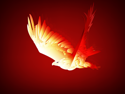 Phoenix bird bold colors design fire gradient graphic illustration phoenix vector vectors