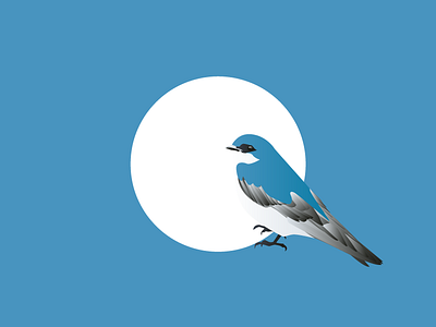 Birdie adobe bird design graphic illustration illustrator minimalism vector vectors