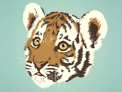 Tiger Cub illustration